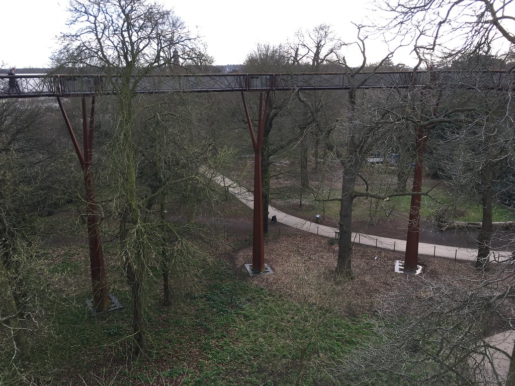 Treetop Walk at Kew Gardens