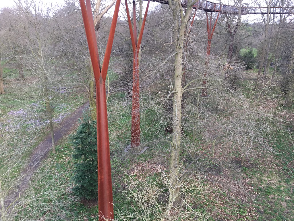 Treetop Walk at Kew Gardens