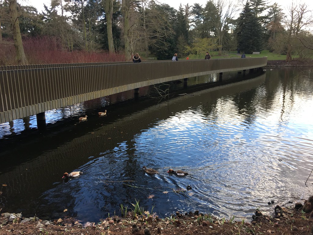 Sackler Crossing at Kew Gardens