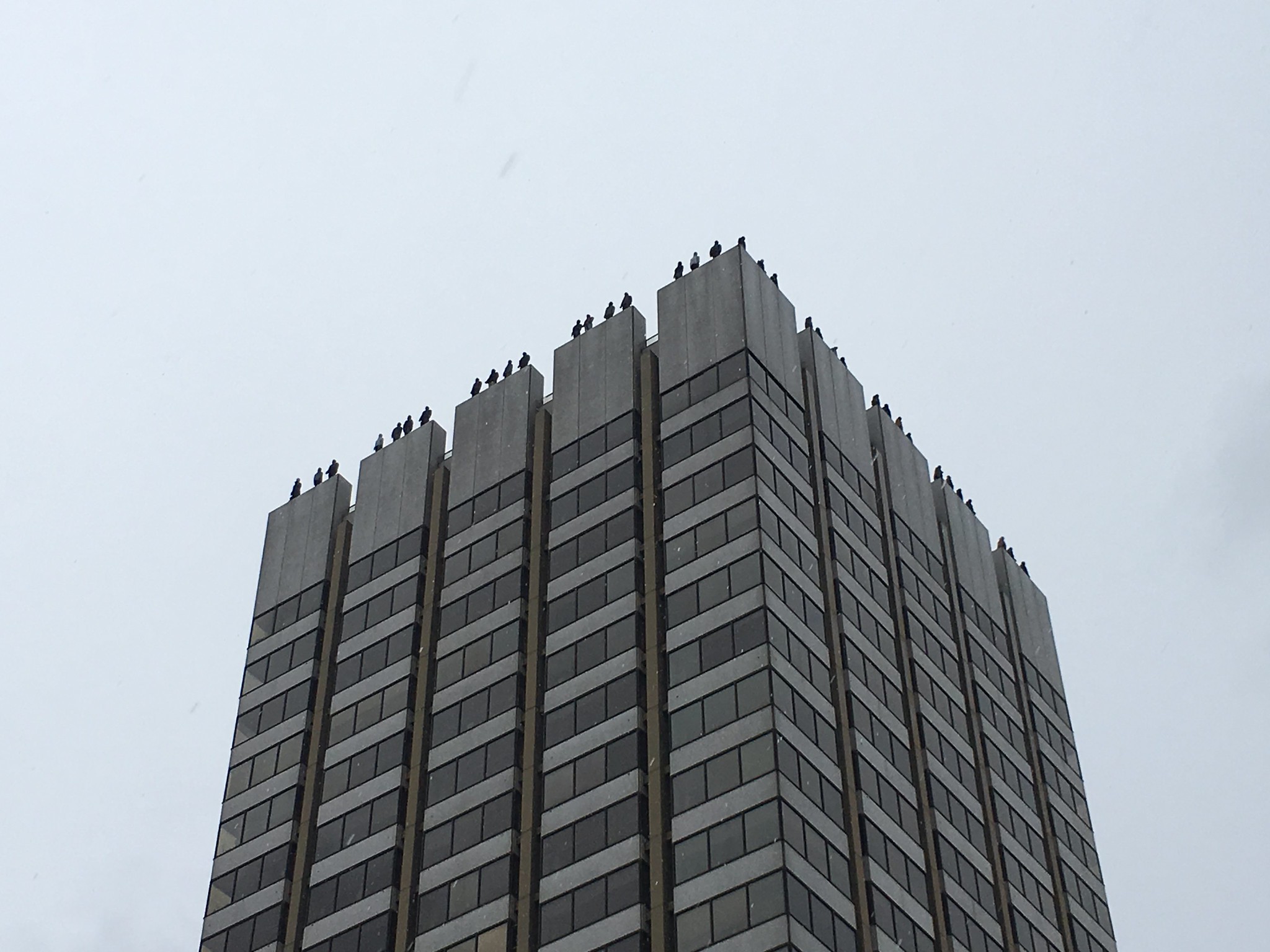 Project 84 by Mark Jenkins