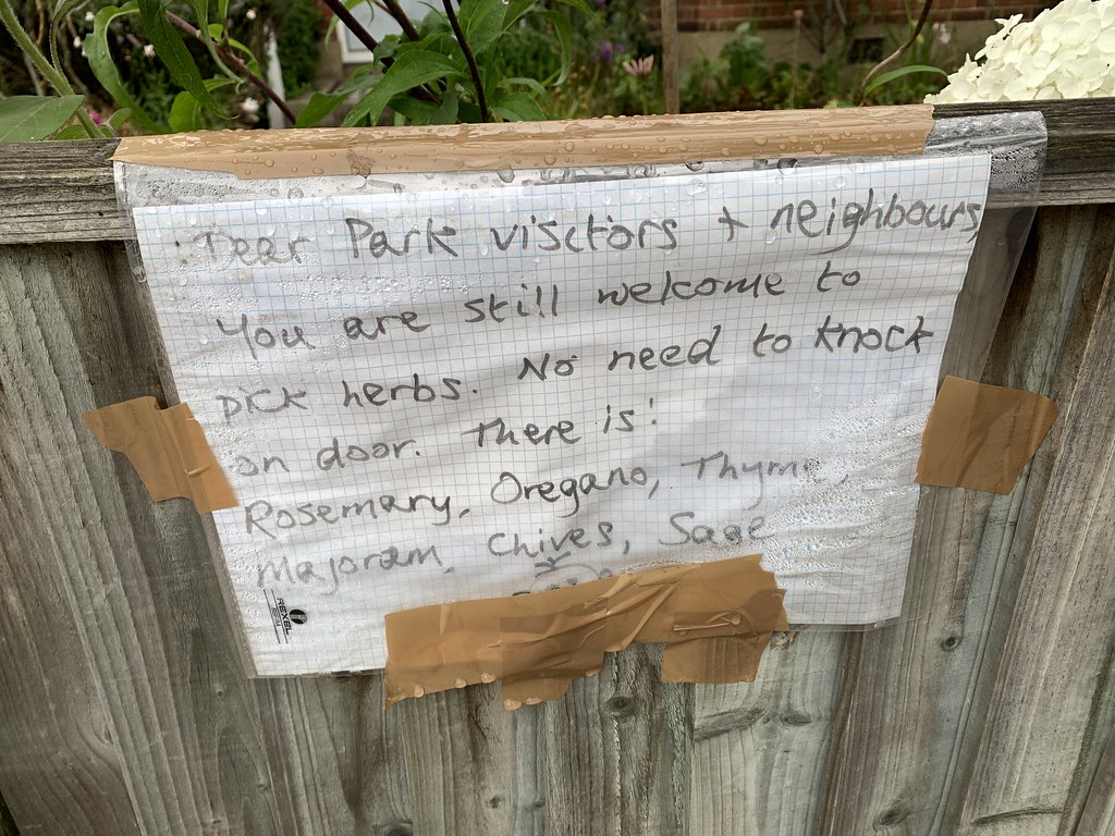 Postcards from the park