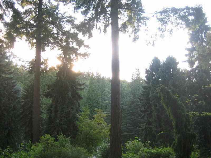 2819218249_a87227230a_b