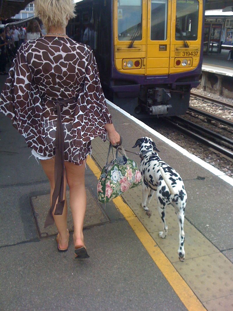 Giraffe-floral-dalmatian