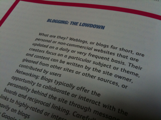 Blogging: The Lowdown