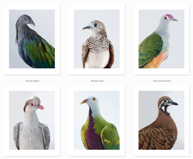 Screen Shot 2018-09-08 at 17.23.15